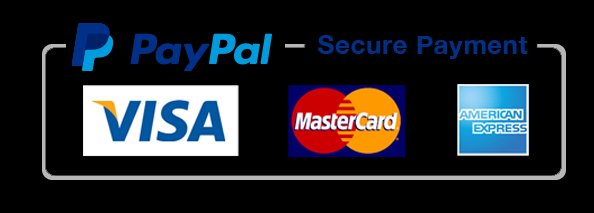 PayPal Payment